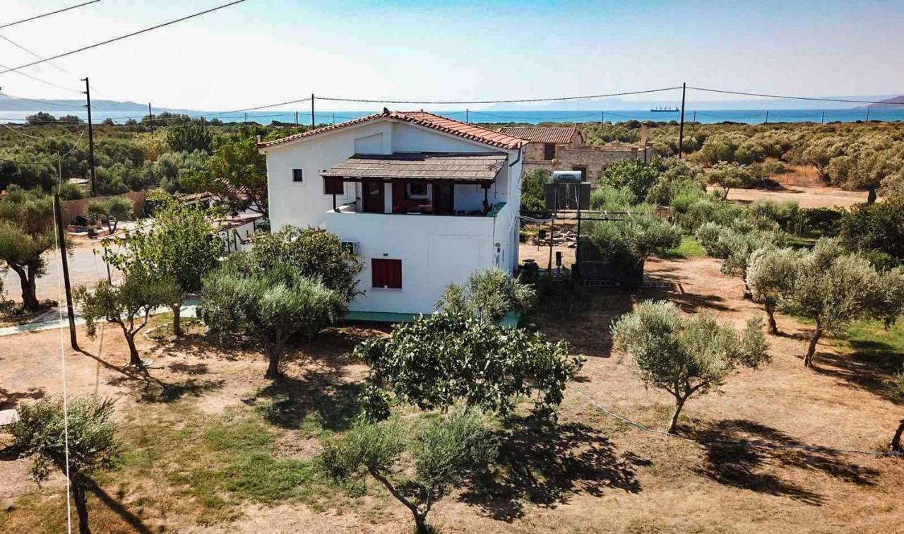 Megris Country Houses Vingláfia Dış mekan fotoğraf